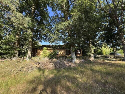 Blick vom Garten zur Seitenansicht vom Haus - 