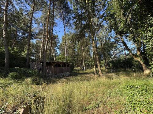 Blick zur Gartenhütte vom Waldgrundstück - 