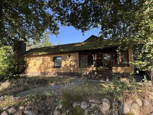 Seitenansicht vom Garten - 