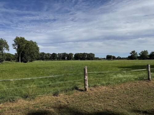 Blick Richtung Wiese - 