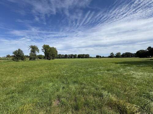 Blick Richtung Wiese - 