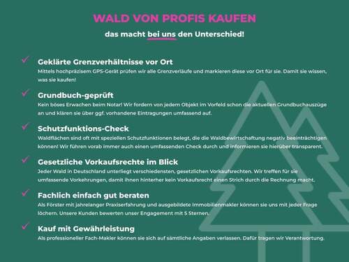 1_Wald von Profis kaufen.jpg - 