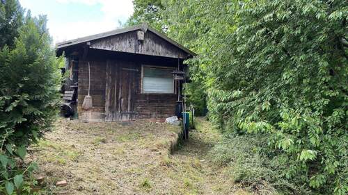 Schuppen und seitlicher 