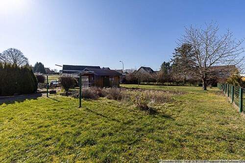 Wiese hinter dem Haus - 