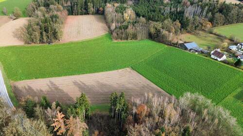 dji_fly_20251118_115612_827_1763463381728_photo_optimized - Attraktives Ackerland in guter Lage in Eglsee
