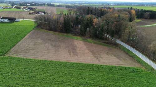 dji_fly_20251118_115502_826_1763463308887_photo_optimized (1) - Grundstück zum Kaufen in Neuhaus am Inn