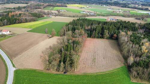 dji_fly_20251118_115658_830_1763463435817_photo_optimized - Grundstück in Neuhaus am Inn