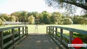 Pegnitzgrund - 
