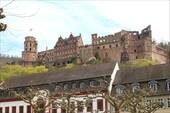 Heidelberger Schloss - 