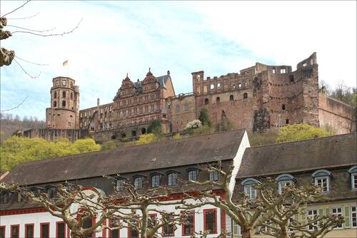 Heidelberger Schloss - 