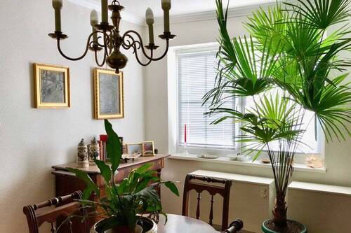 Wohnzimmerfenster Kopie - 