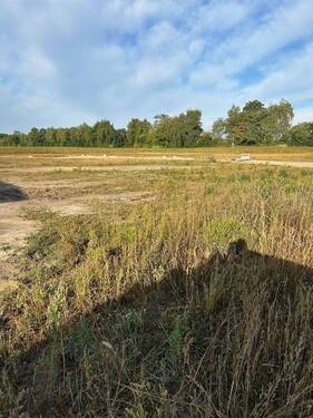 WhatsApp Image 2025-09-11 at 12.13.14 (2) - 5 Zimmer Einfamilienhaus zum Kaufen in Flettmar