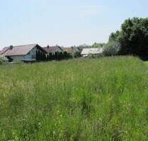 schönes großzügiges Baugrundstück in ruhiger Ortsrandlage - Burgkirchen an der Alz Grasset