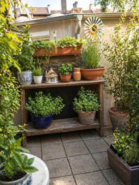 Balkon - 