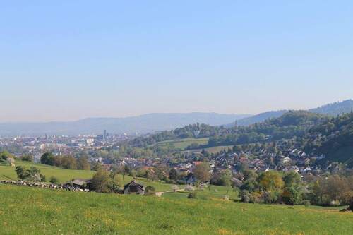Blick nach Freiburg - 