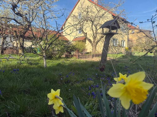 Aussenansicht Süd-West - 6 Zimmer Doppelhaushälfte in Rothenburg ob der Tauber