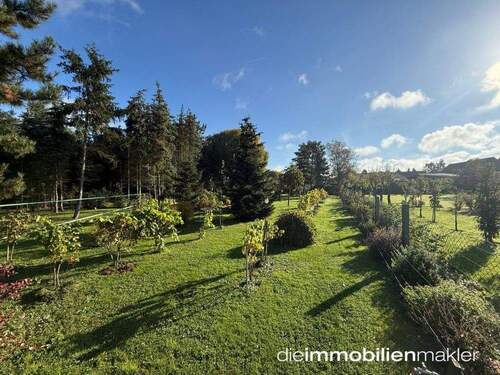 Gartenimpression 9 - 