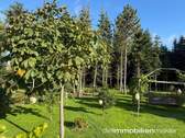 Gartenimpression hinten - 