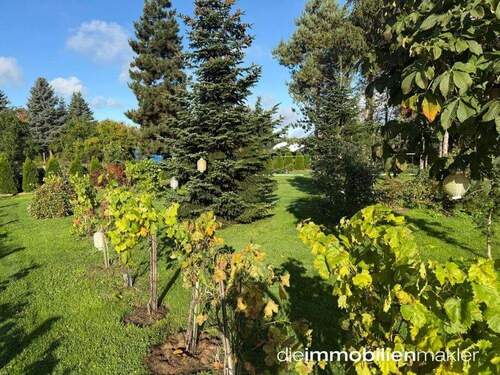 Gartenimpression Bäume - 