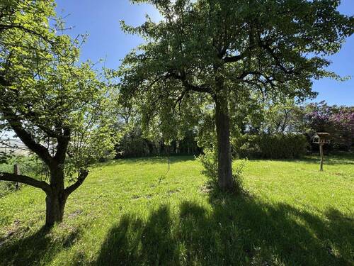 Gartenansicht - 