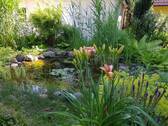 Teich - 