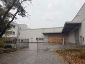 IMG_6521 - 