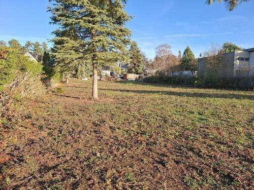 linke Grundstücksseite von vorn - 