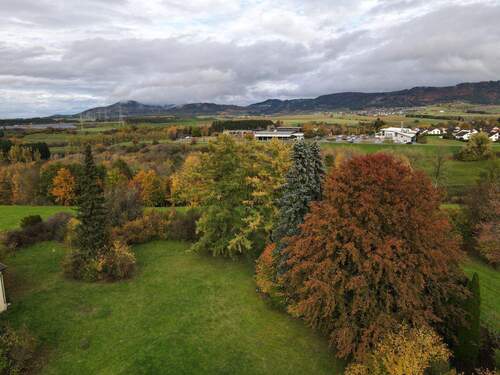 DJI_0106.JPG - Grundstück in Aldingen