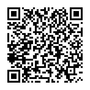 QR-Code - 