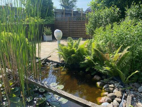 Seerosenteich - 