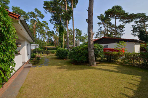 gepflegtes Grundstück - 