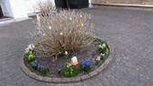 Blumenrabate - 
