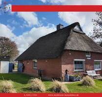 Ankommen unter Reet - Liebevoll und hochwertig modernisiertes Nordseeidyll in harmonischer Deichlage - Friedrichskoog