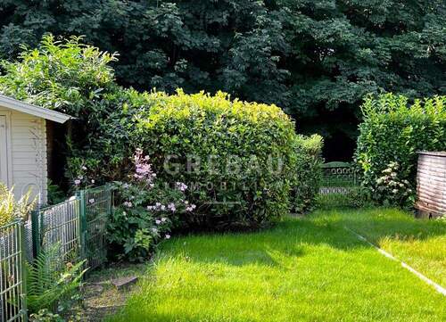 schön eingewachsener Garten - 