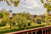 IMG_7456 - 