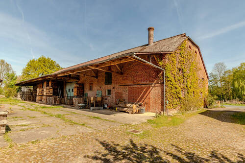 IMG_7403 - 
