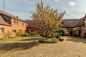 IMG_7464 - 