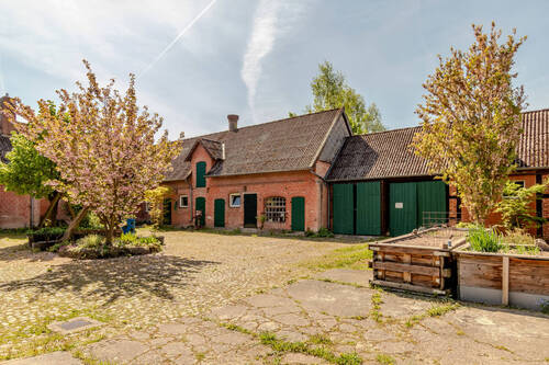 IMG_7413 - 