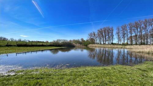 Naturteich - 