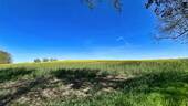 Rapsfeld gegenüber - 