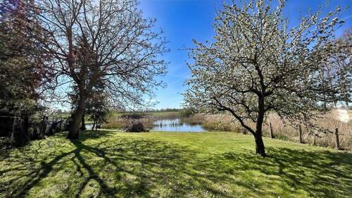 Idyllisches Grundstück - 