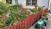 Vorgarten - 