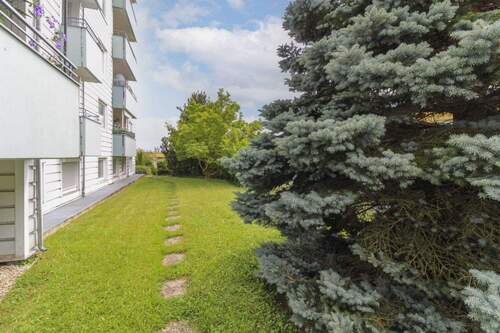 Gemeinschaftsgarten - 