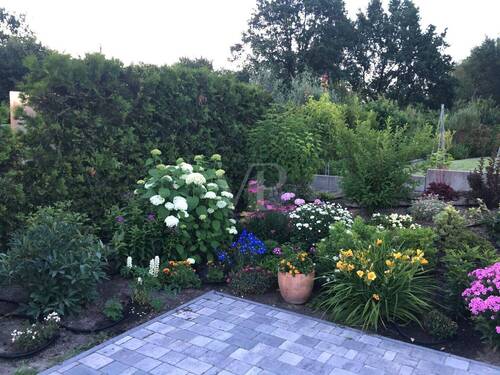 Sommerimpression - 