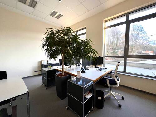 Büro - 5 Zimmer Büro zur Miete in Kaiserslautern