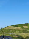 Ausblick - 