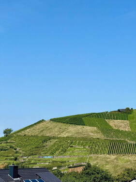 Ausblick - 