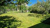 20250510_113040.jpg - 