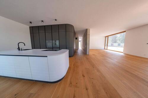 Küche und Wohnbereich - 