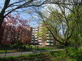Wohnanlage - Tolle 2-Zi.-Wohnung - Sonne und Fernblick garantiert